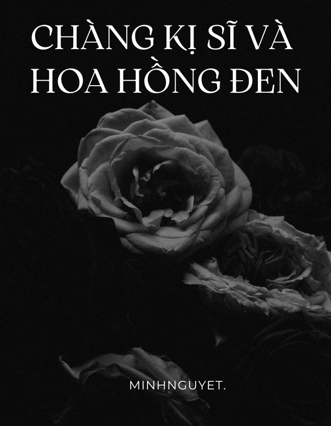 Chàng kị sĩ và hoa hồng đen