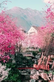 Xuân Sắc Nhập Tửu (1)